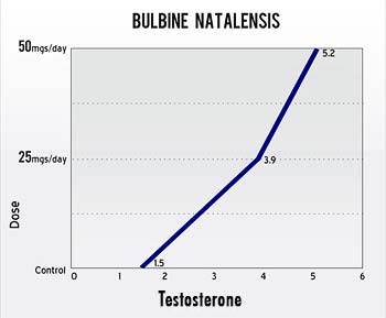 Bulbine Natalensis Testosterone Increase