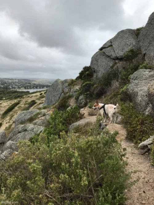 FC34A02A-7802-4BBE-8143-42920E78E3C7.webp FC34A02A-7802-4BBE-8143-42920E78E3C7.webp