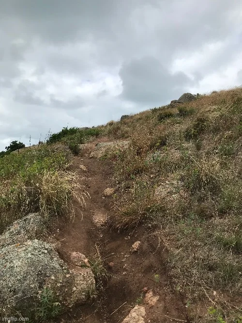 FEF29D80-F77B-474E-BD5E-0AA49A121E21.webp FEF29D80-F77B-474E-BD5E-0AA49A121E21.webp