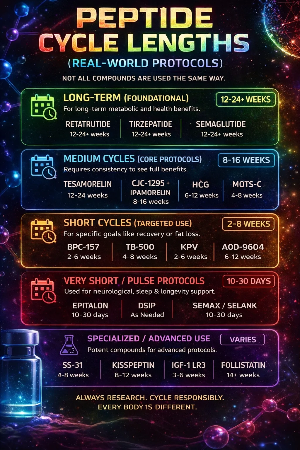 peptide cycle lengths.webp