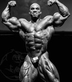 flex-wheeler.jpg