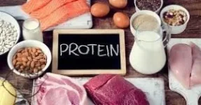 protein-300x157.webp