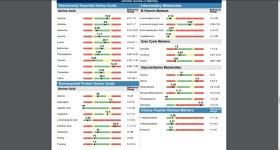 Amino Acids Plasma.jpg