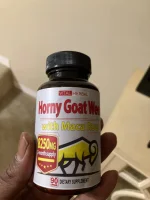 horny goat.webp