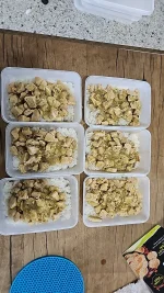 IMG_20250713_154307_509.webp