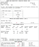 Screenshot 1.02.01.webp