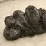 donkeypoop