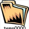 temp0000