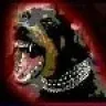 Guard_Dog