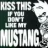 GTMustang