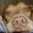 Pitty