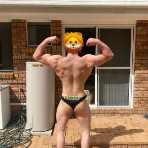 WhatsApp Image 2025-10-27 at 21.12.37_42920d95.webp