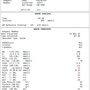 Screenshot 1.02.02.webp