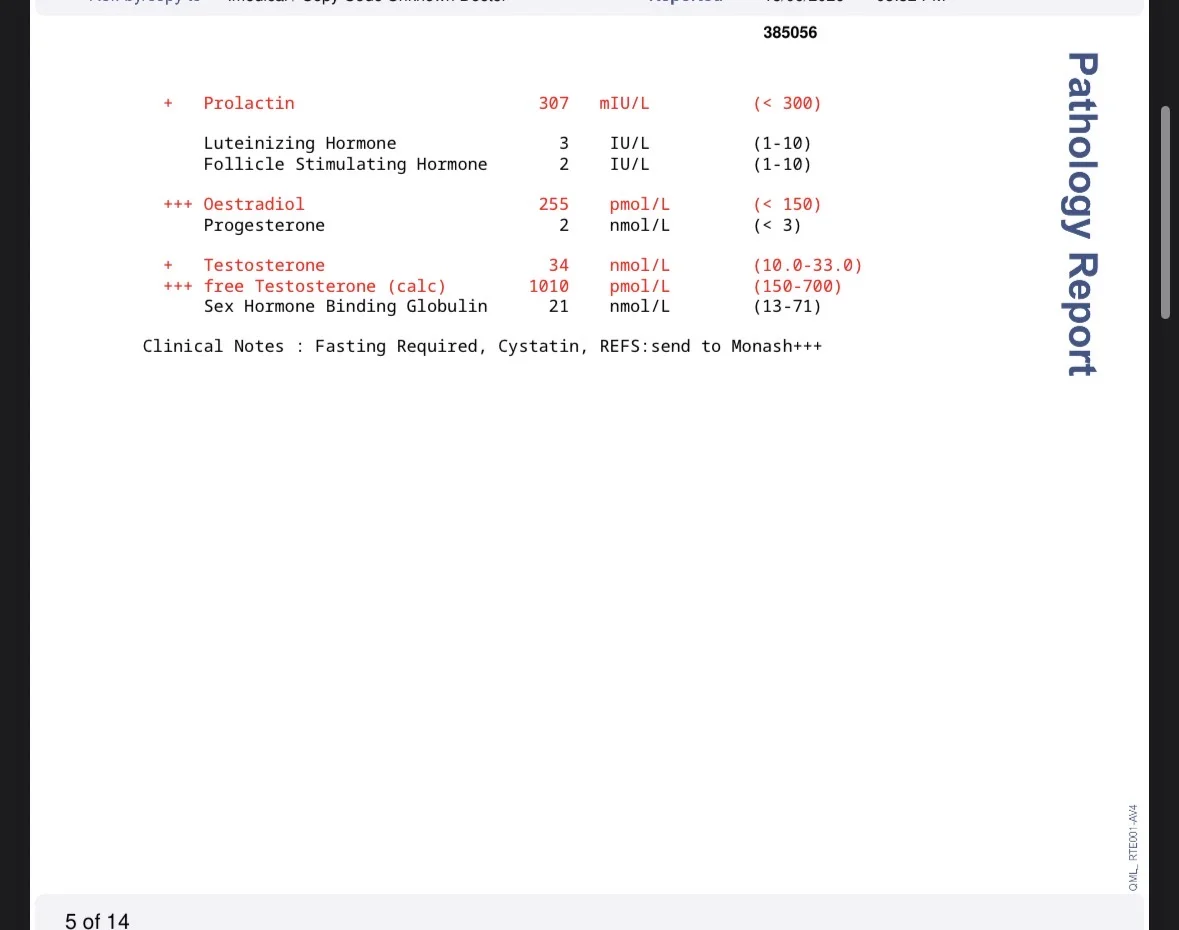 Bloods 06:26  2.webp