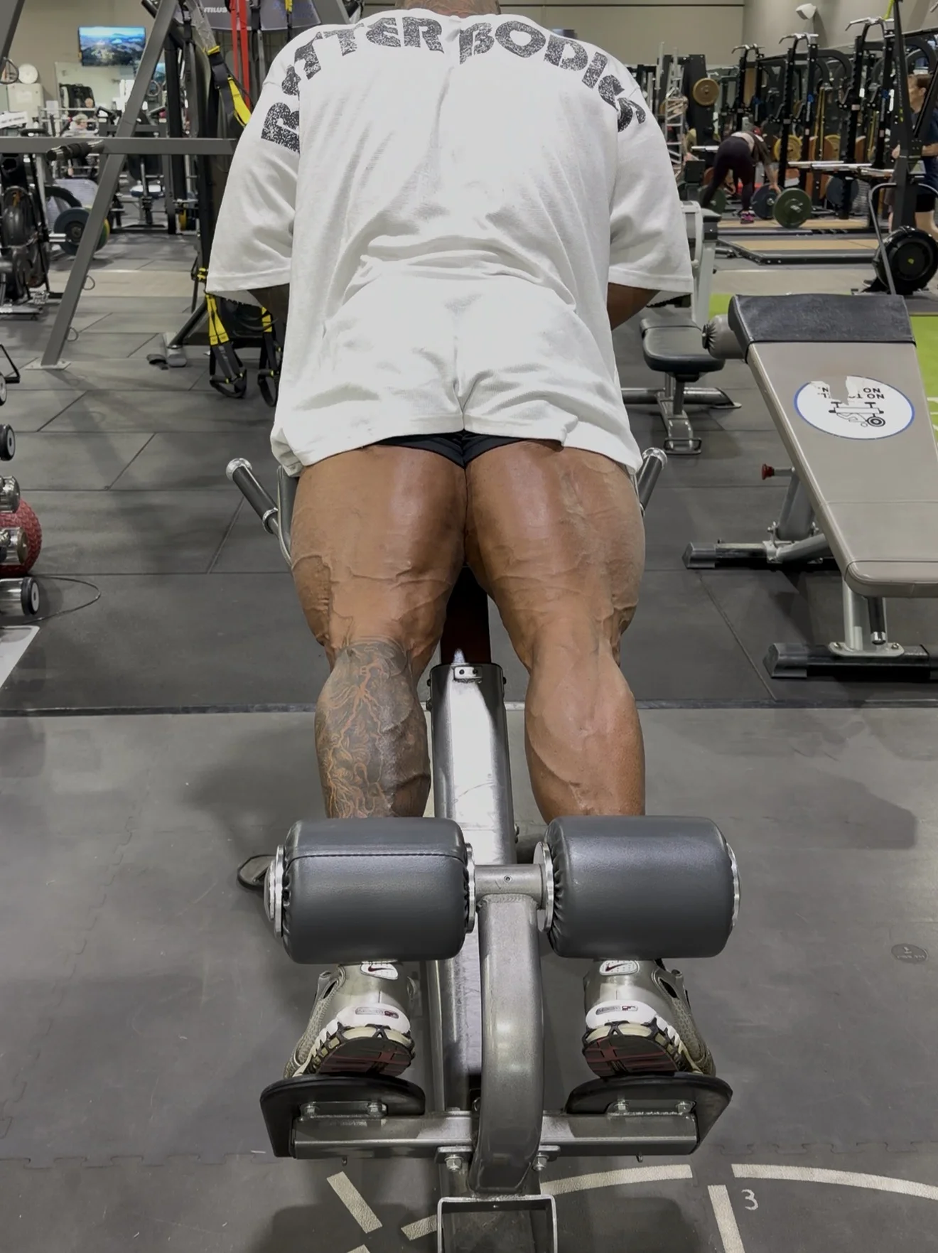 IMG_1245.webp