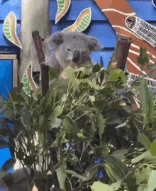 IMG_1577.gif