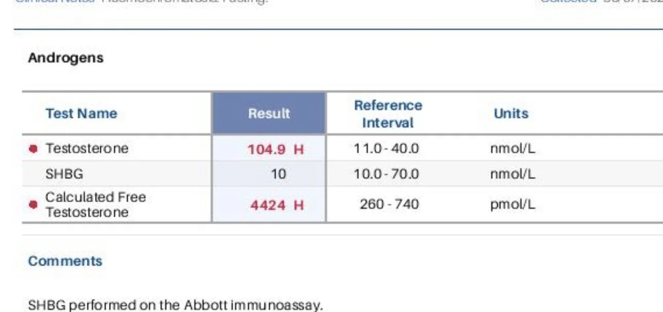 IMG_3588.webp