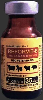 Reforvit-B102-576137083.webp