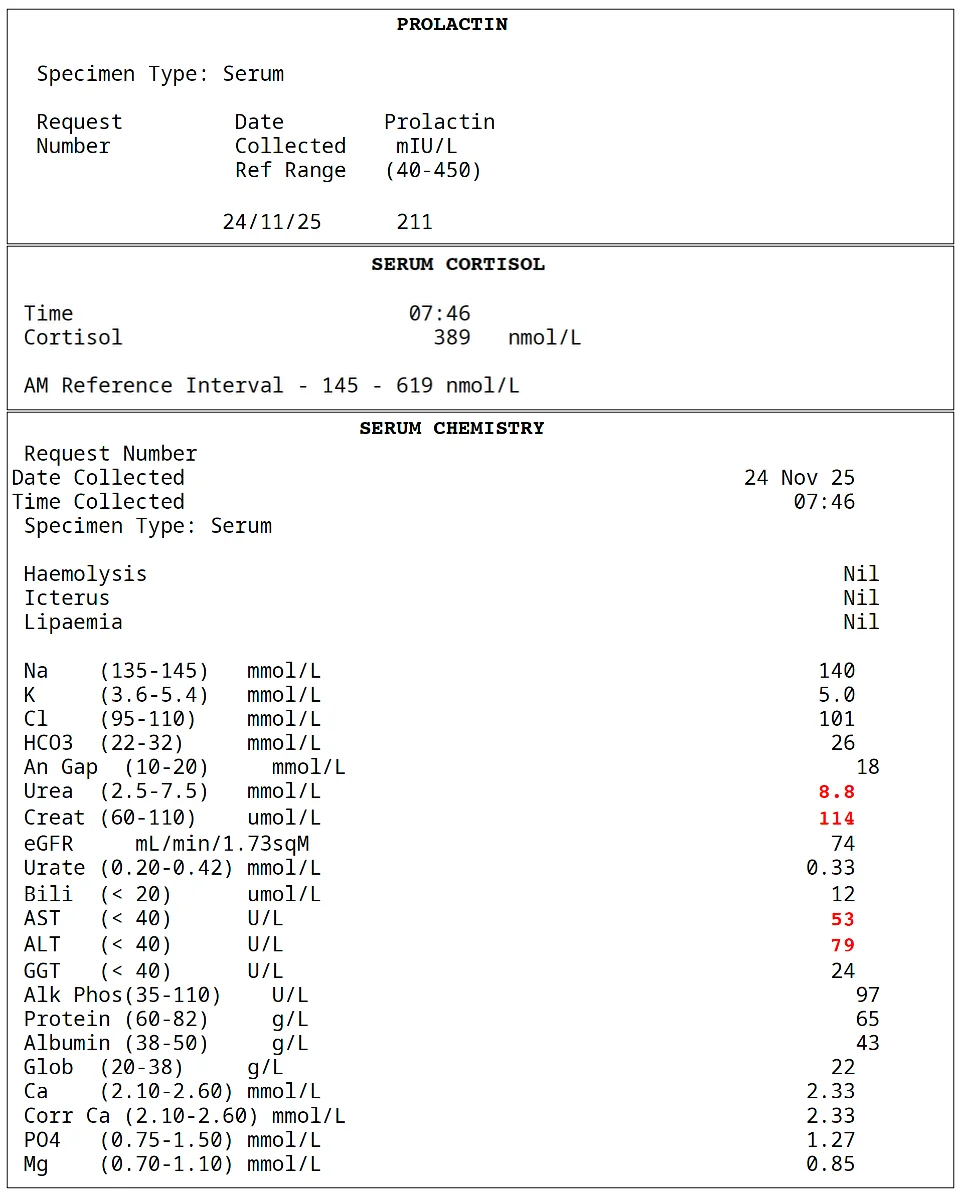 Screenshot 1.02.02.webp